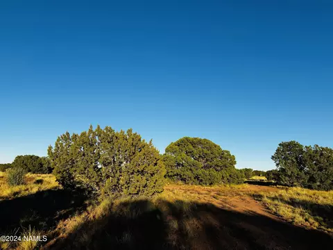 4350 4386 E Cedar Rd, Williams, AZ 86046 photo 13