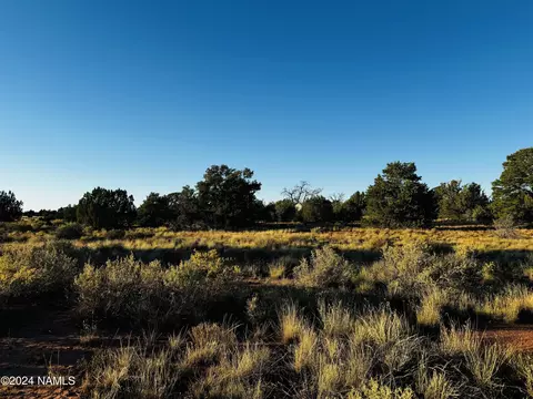 4350 4386 E Cedar Rd, Williams, AZ 86046 photo 8