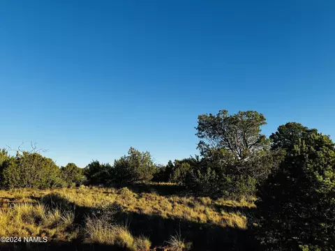 4350 4386 E Cedar Rd, Williams, AZ 86046 photo 16