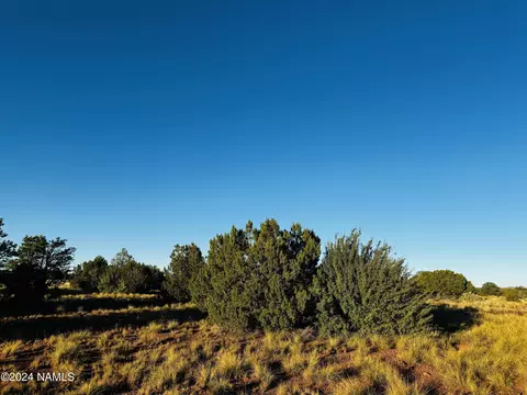 4350 4386 E Cedar Rd, Williams, AZ 86046 photo 14