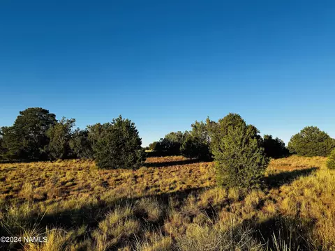 4350 4386 E Cedar Rd, Williams, AZ 86046 photo 2