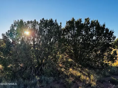 4350 4386 E Cedar Rd, Williams, AZ 86046 photo 19