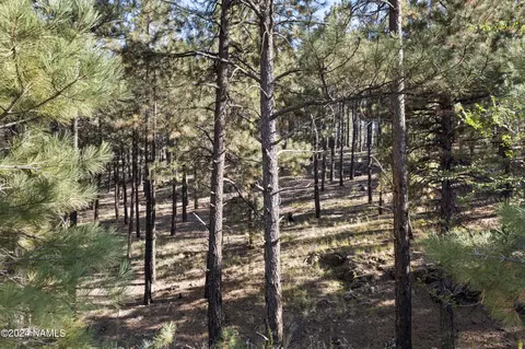 6040 W Saskan Ranch Cir, Flagstaff, AZ 86001