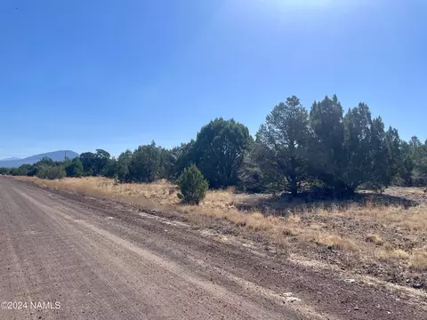 1354 E Ventura Ave #174, Williams, AZ 86046