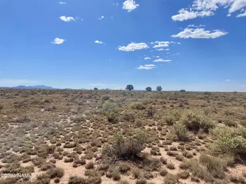 2950 E King St #285, Williams, AZ 86046 photo 8