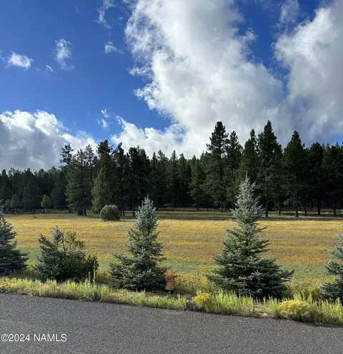 102 W Clay Park Way, Munds Park, AZ 86017