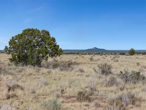 1606 E Mission Dr, Williams, AZ 86046 photo 3