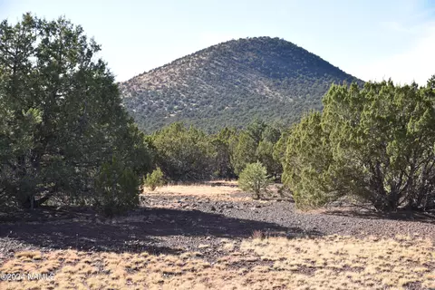 2067 E Spruce St #95, Williams, AZ 86046