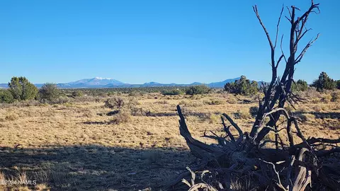 10424 W Line Cook Trl, Williams, AZ 86046