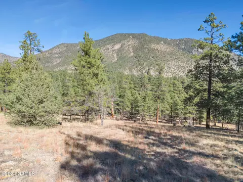 1384 E Bouteloua, Flagstaff, AZ 86001
