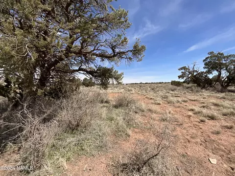 655 E Laramie Dr #211, Williams, AZ 86046