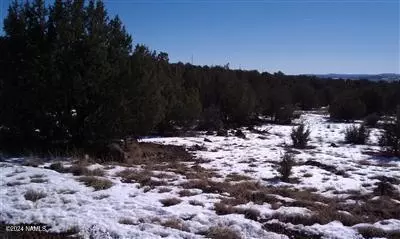 2332 Albert Way #1100, Ash Fork, AZ 86320