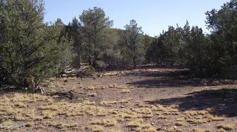 1234 E Kruger Long Rd #559, Williams, AZ 86046