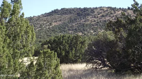 1477 E Indian Blanket Rd #523, Williams, AZ 86046
