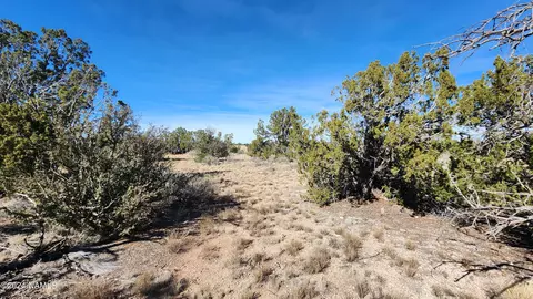 4686 E Oakwood Dr, Williams, AZ 86046 photo 5