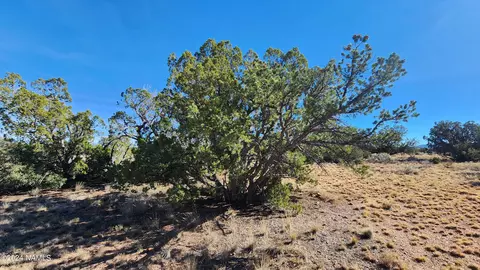 4686 E Oakwood Dr, Williams, AZ 86046 photo 6