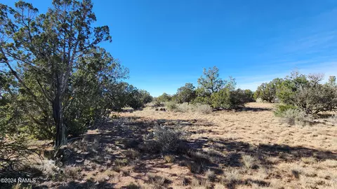 4686 E Oakwood Dr, Williams, AZ 86046 photo 20