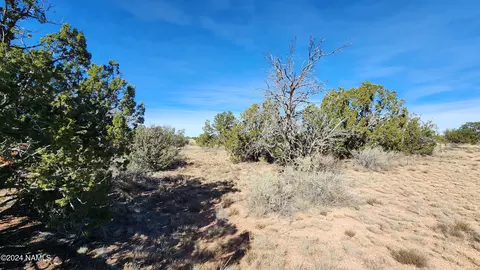 4686 E Oakwood Dr, Williams, AZ 86046 photo 18