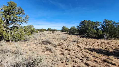 4686 E Oakwood Dr, Williams, AZ 86046 photo 16
