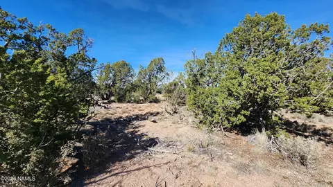 4686 E Oakwood Dr, Williams, AZ 86046 photo 3