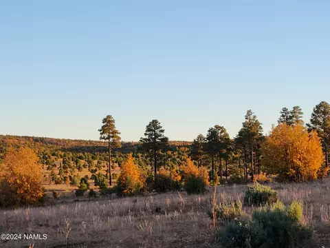 2704 Stagecoach Blvd, Overgaard, AZ 85933 photo 23