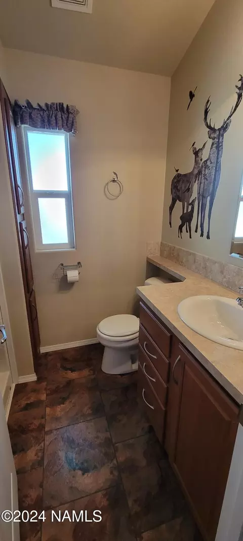 2704 Stagecoach Blvd, Overgaard, AZ 85933 photo 11