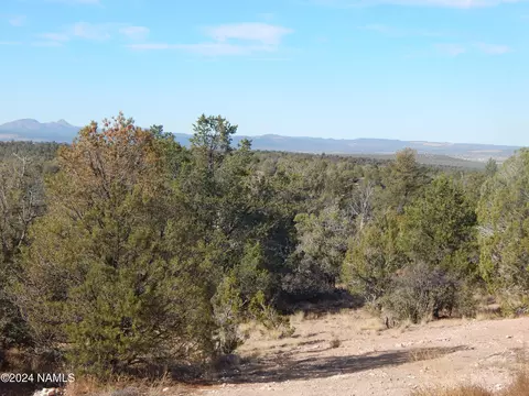 Other - 39770 N Cattle Dr, Ash Fork, AZ 86320 photo 8 of 16