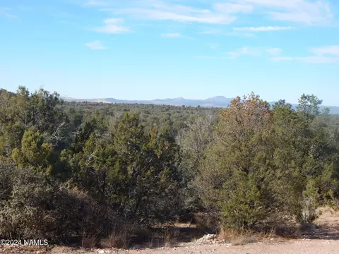 Other - 39770 N Cattle Dr, Ash Fork, AZ 86320 photo 9 of 16