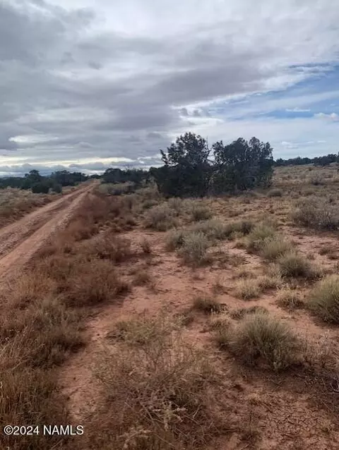 912 S Spruce Rd #376, Williams, AZ 86046