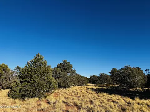 3861 E Valencia Rd, Williams, AZ 86046
