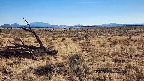 932 E Princeton Ave, Williams, AZ 86046