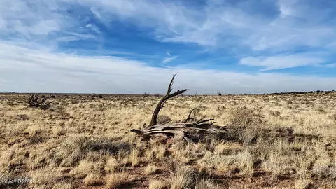 932 E Princeton Ave, Williams, AZ 86046 photo 10