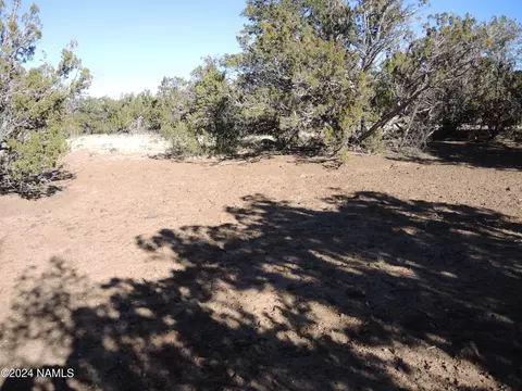 627 E Hualpai Trl, Williams, AZ 86046 photo 4