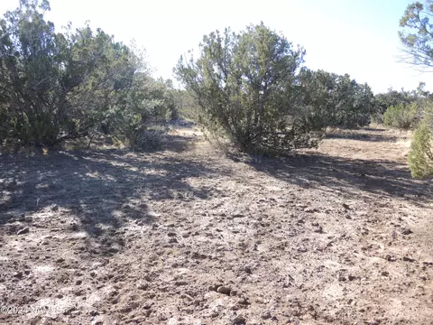627 E Hualpai Trl, Williams, AZ 86046 photo 5