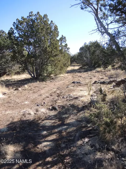 627 E Hualpai Trl, Williams, AZ 86046 photo 3