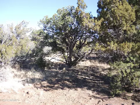 627 E Hualpai Trl, Williams, AZ 86046 photo 2