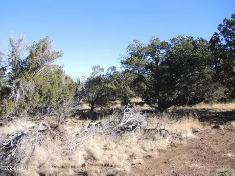 627 E Hualpai Trl, Williams, AZ 86046