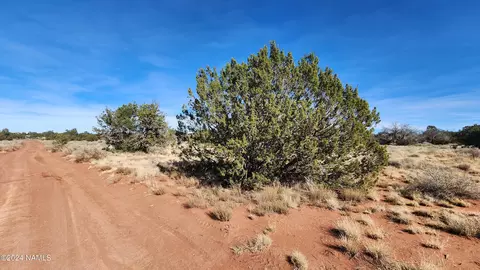 20912119 S Mountain View Rd, Williams, AZ 86046 photo 14
