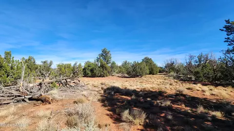 20912119 S Mountain View Rd, Williams, AZ 86046 photo 30