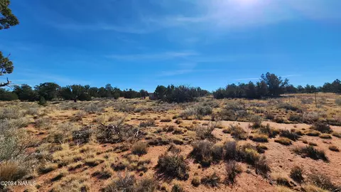 20912119 S Mountain View Rd, Williams, AZ 86046 photo 8