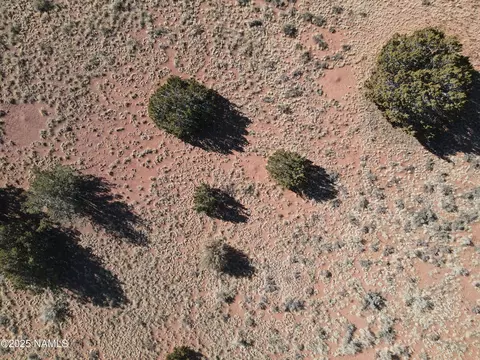 3372 E Valencia Rd #LOT A, Williams, AZ 86046 photo 31
