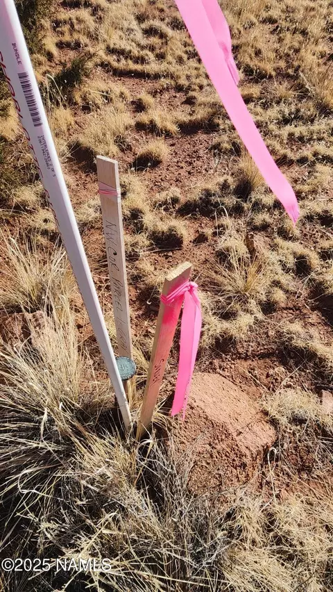 3372 E Valencia Rd #LOT A, Williams, AZ 86046 photo 32