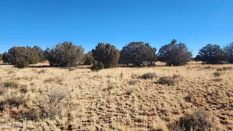 3372 E Valencia Rd #LOT A, Williams, AZ 86046 photo 23