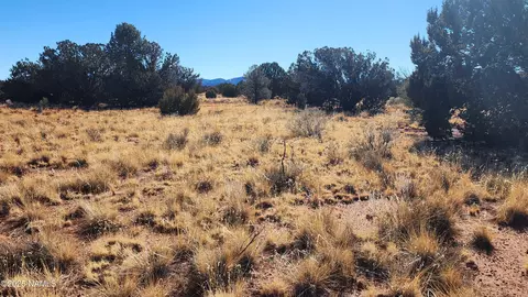3372 E Valencia Rd #LOT C, Williams, AZ 86046 photo 3