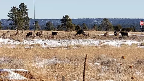 1831 N Jasper, Flagstaff, AZ 86001