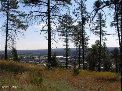 1516 W Lower Coconino Ave, Flagstaff, AZ 86001