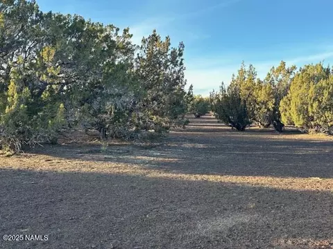 303-23 020 Alpine Rnch, Flagstaff, AZ 86004