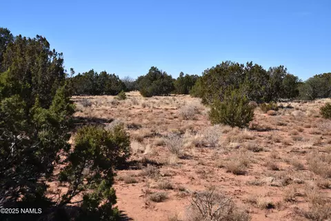 6206 Lasso Loop, Williams, AZ 86046 photo 8