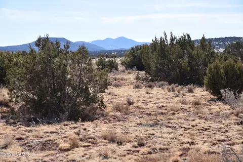 6206 Lasso Loop, Williams, AZ 86046 photo 11