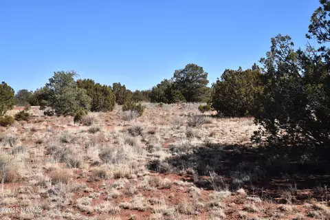 6206 Lasso Loop, Williams, AZ 86046 photo 9